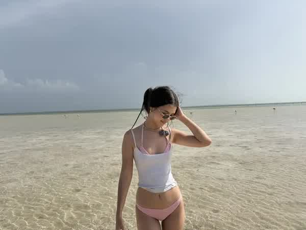 8785d8f71a326790d2d2c11dfd7bc3af5085ee488294688401f42306f1a8b160 thumbnail
